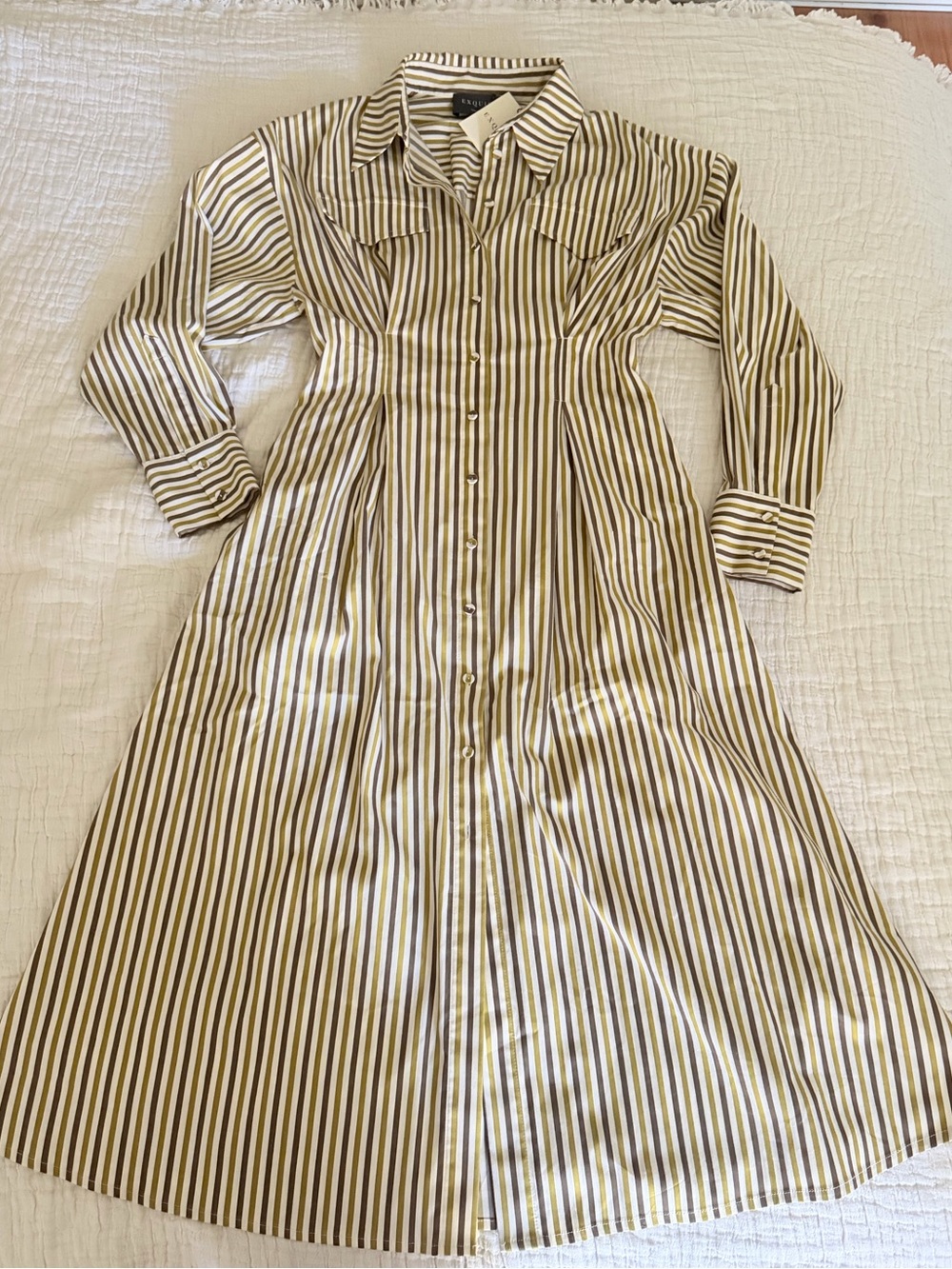 Exquise Flora Striped Shirtdress Multi Color Long Sleeve Size 4 NWT